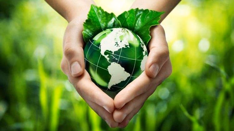 ¿Qué dice la encíclica Laudato si?