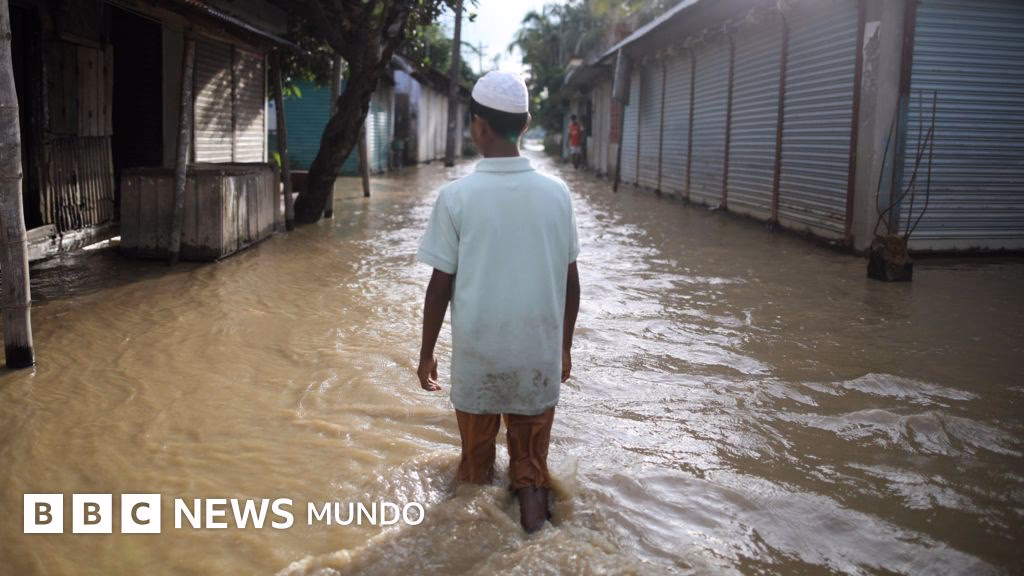 ¿Cuál es el papel de la ONU en la lucha contra el cambio climático?