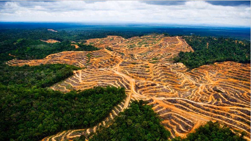 ¿Cuál es el origen de la energía de Ledesma?