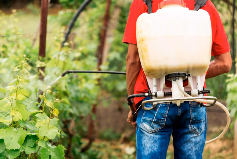 ¿Cómo contribuyen los alimentos con vitaminas y minerales añadidos a la ingesta de nutrientes?