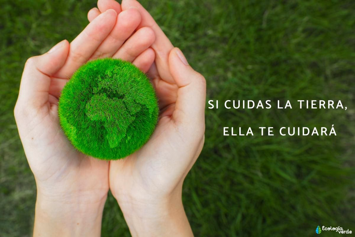¿Cuáles son los 7 lemas inspiradores para el cuidado del Medio Ambiente?