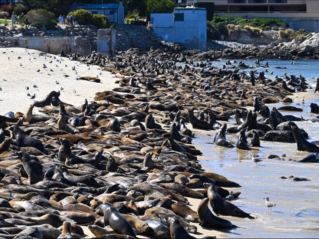 ¿Cómo afecta el calentamiento global al nivel del mar?