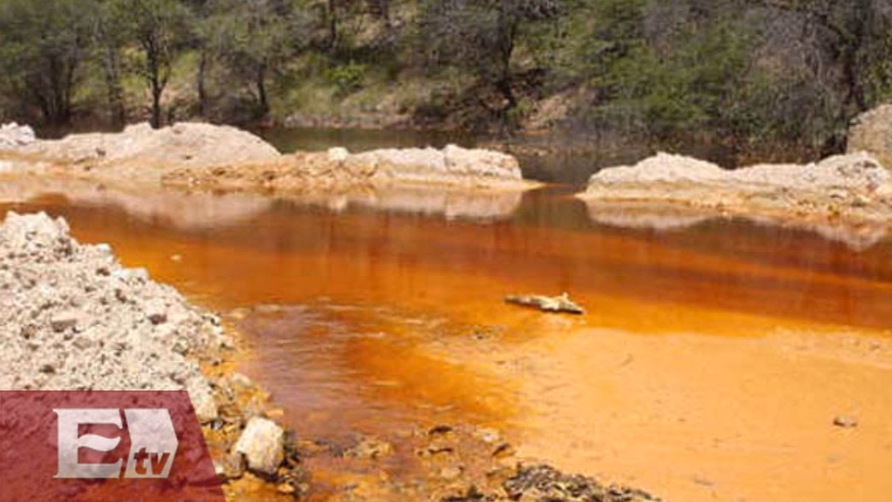 ¿Cuál es la Ley del saneamiento de aguas y bebidas?