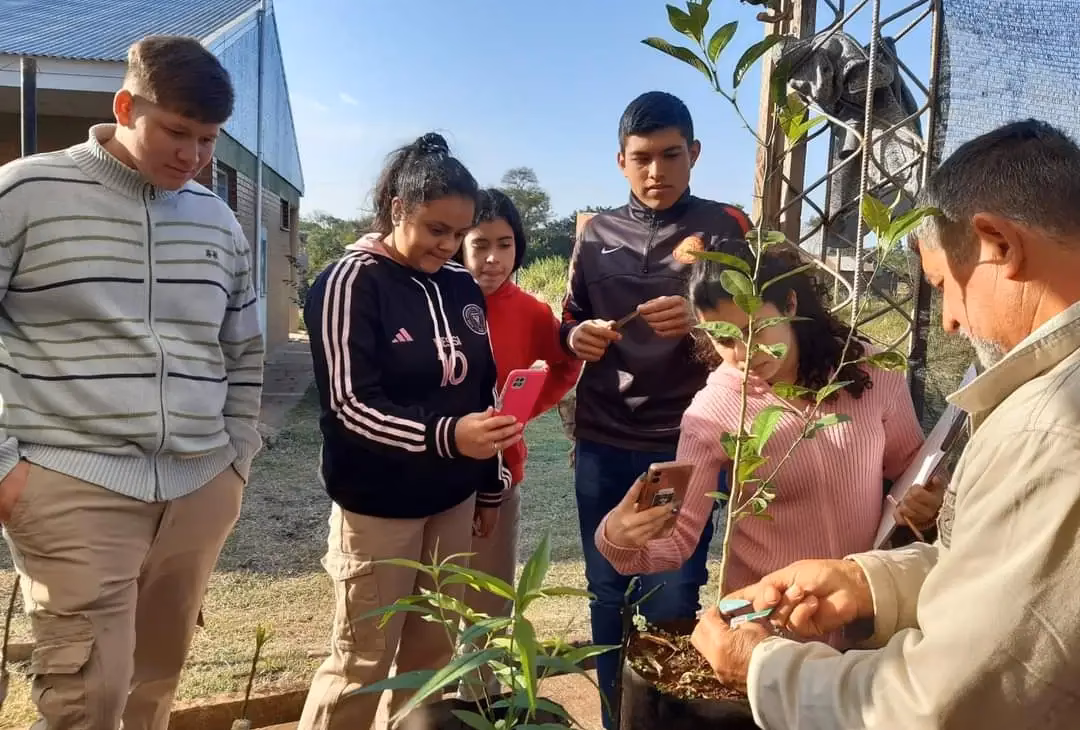 ¿Qué es la Ley de Educación Ambiental?