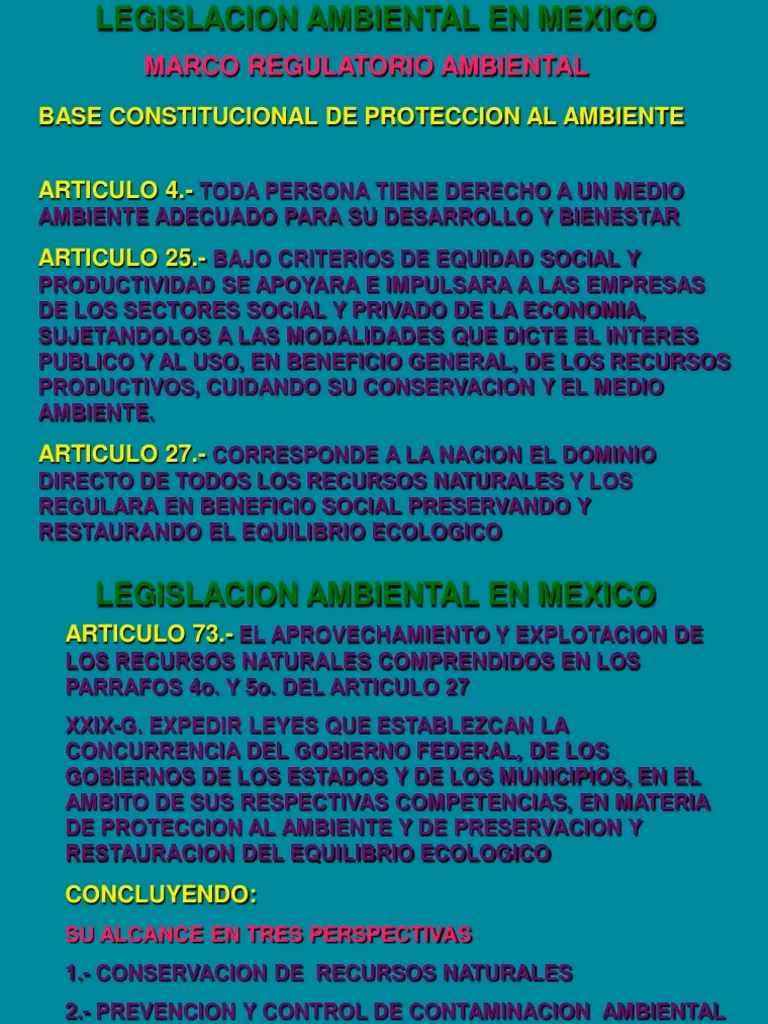 ¿Qué es la prevención y control de la contaminación ambiental?
