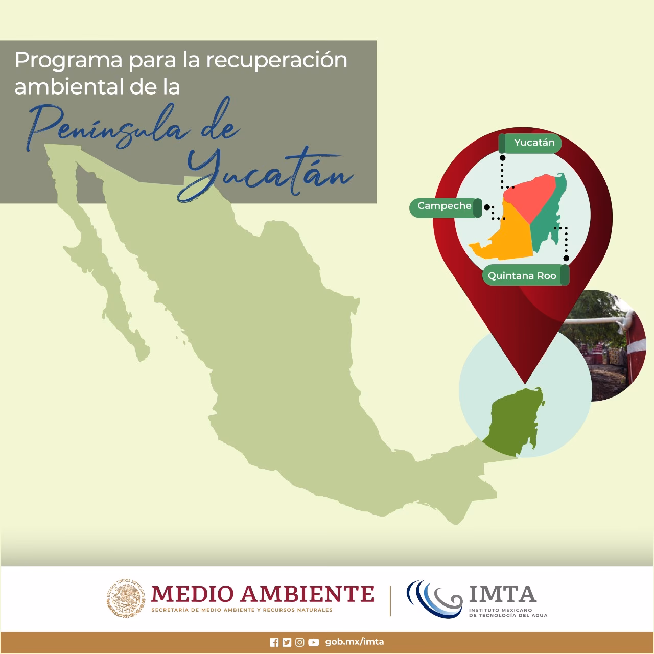 ¿Qué es el Consejo Estatal para la protección del Medio Ambiente?