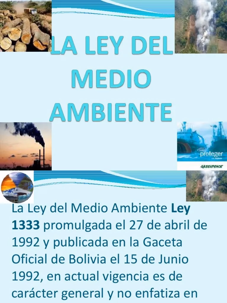 ¿Cuál es el plazo para presentar la Ley del Medio Ambiente?