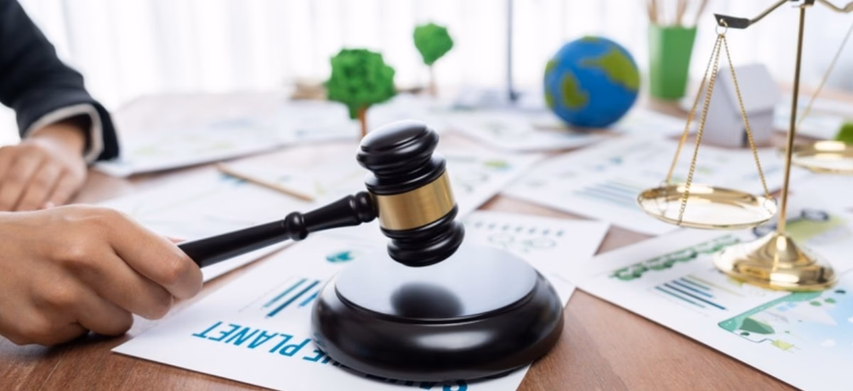 ¿Cuáles son las disposiciones de la Ley de recursos naturales y el medio ambiente?