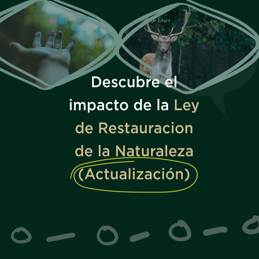 ¿Cuál es el compromiso de la restauración con la sostenibilidad?