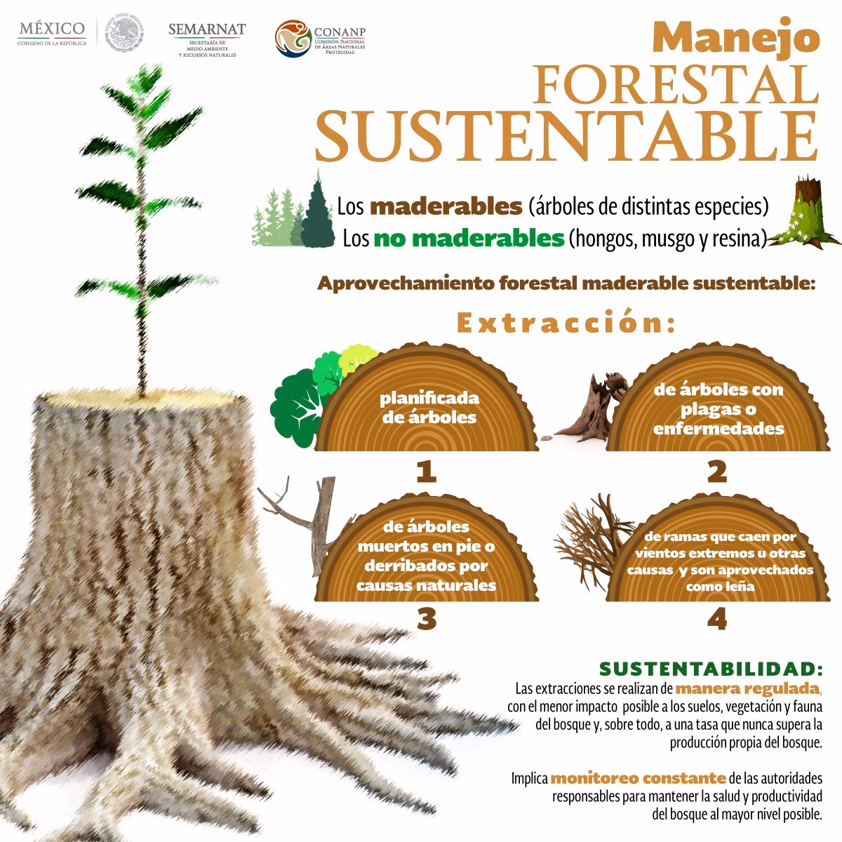 ¿Qué se reforma en el párrafo primero de la Ley General de Desarrollo Forestal Sustentable?