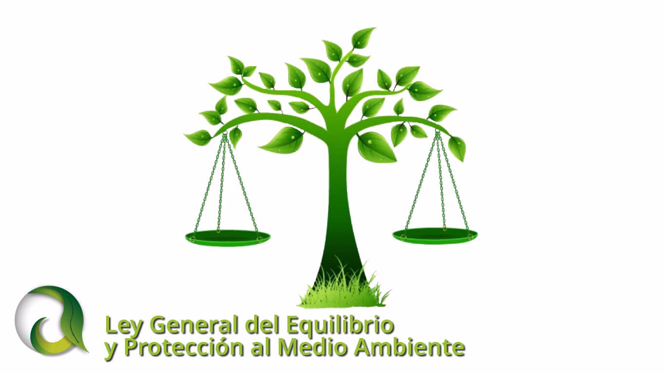 ¿Cuáles son los objetivos de la Ley Ambiental?