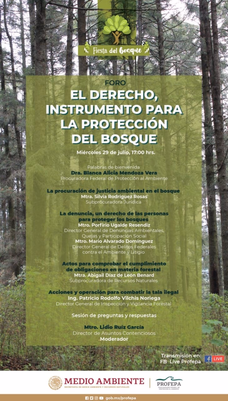 ¿Cuándo fue sancionada la Ley del Medio Ambiente y los recursos naturales?
