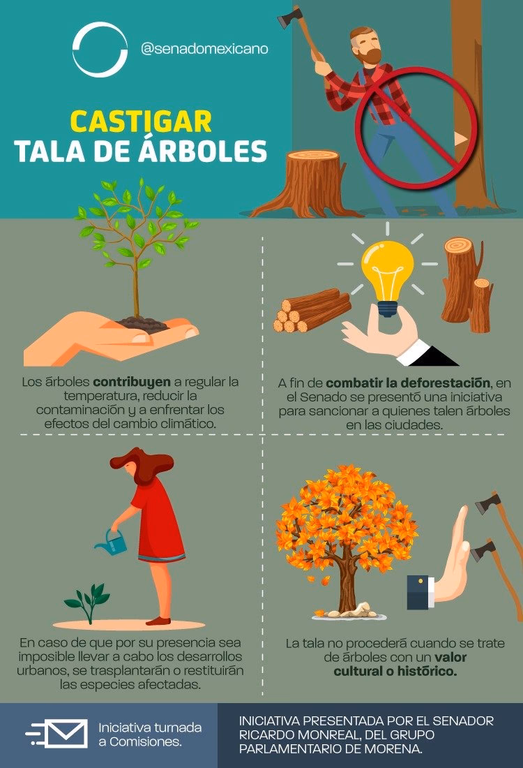 ¿Cuál es el objetivo de la Ley del arbolado?