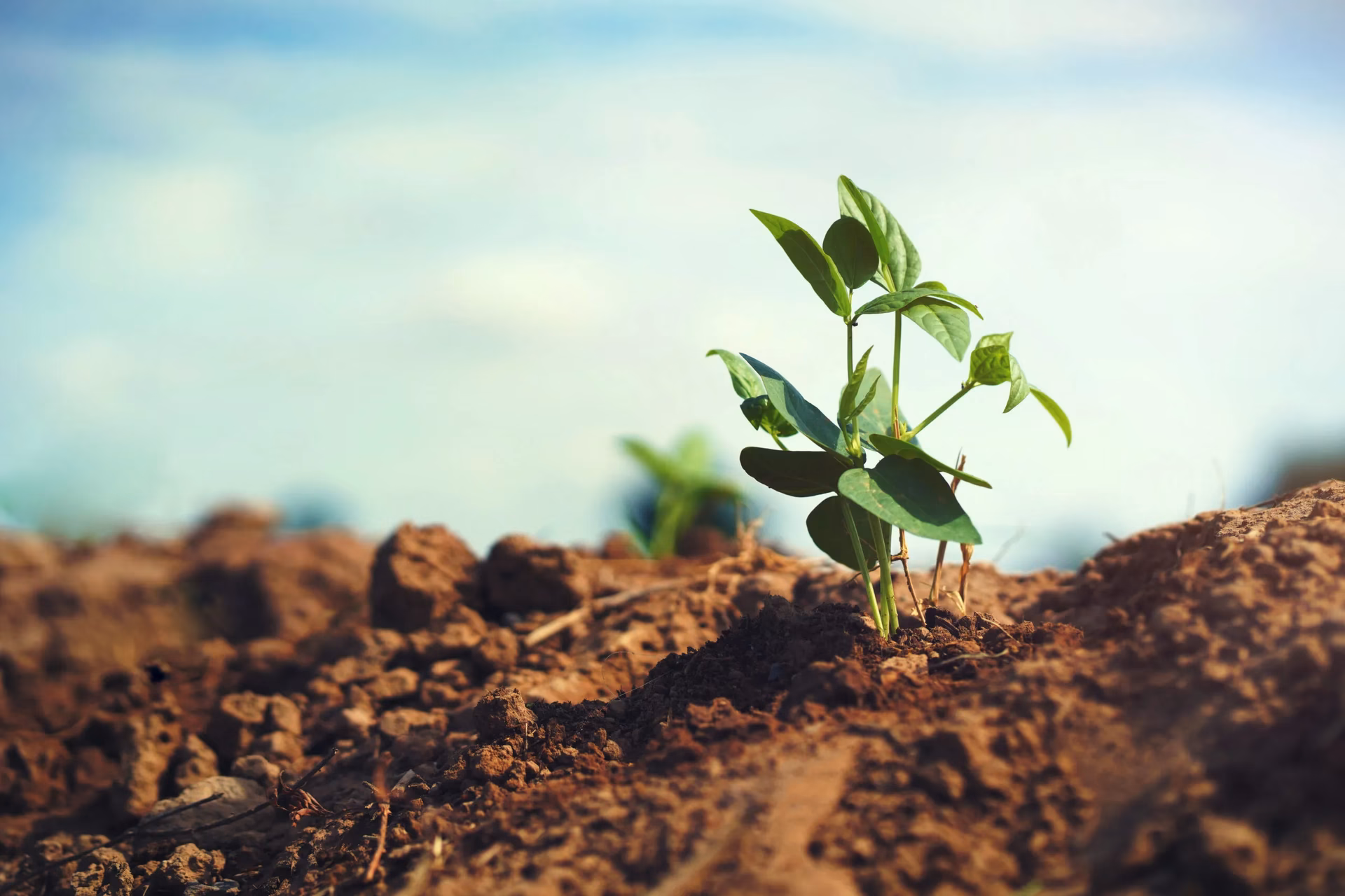 ¿Qué establece la Ley Orgánica de Ordenamiento Territorial?