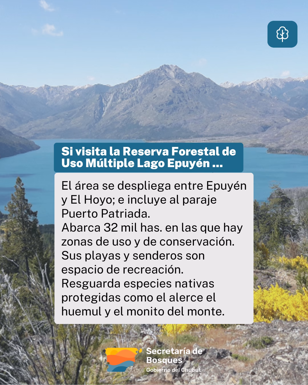 ¿Qué es el derecho a un medio ambiente sano?