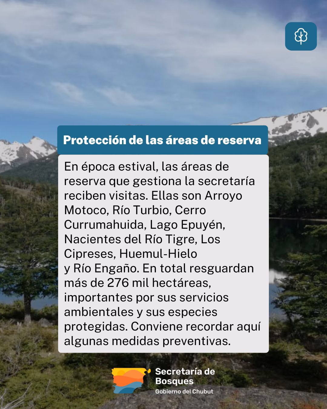 ¿Cuáles son las leyes que regulan el impacto ambiental?
