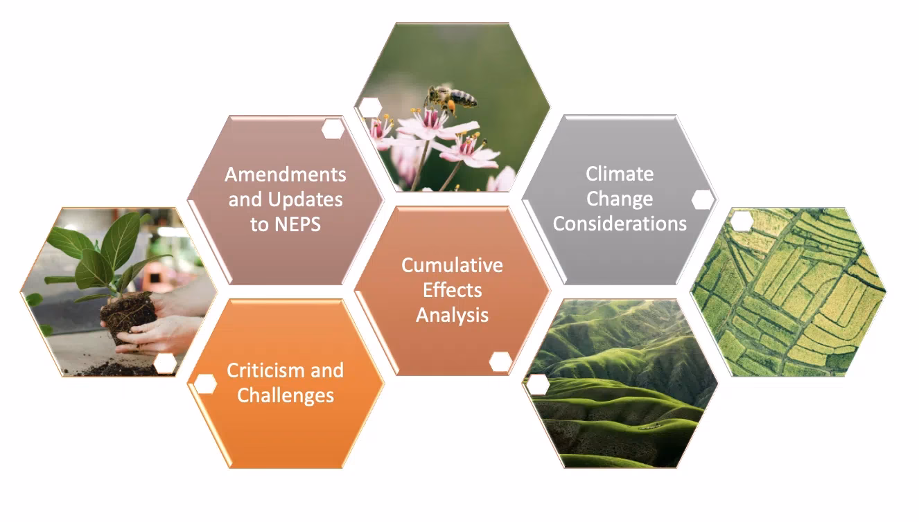 ¿Cuáles son las leyes que protegen el medio ambiente?