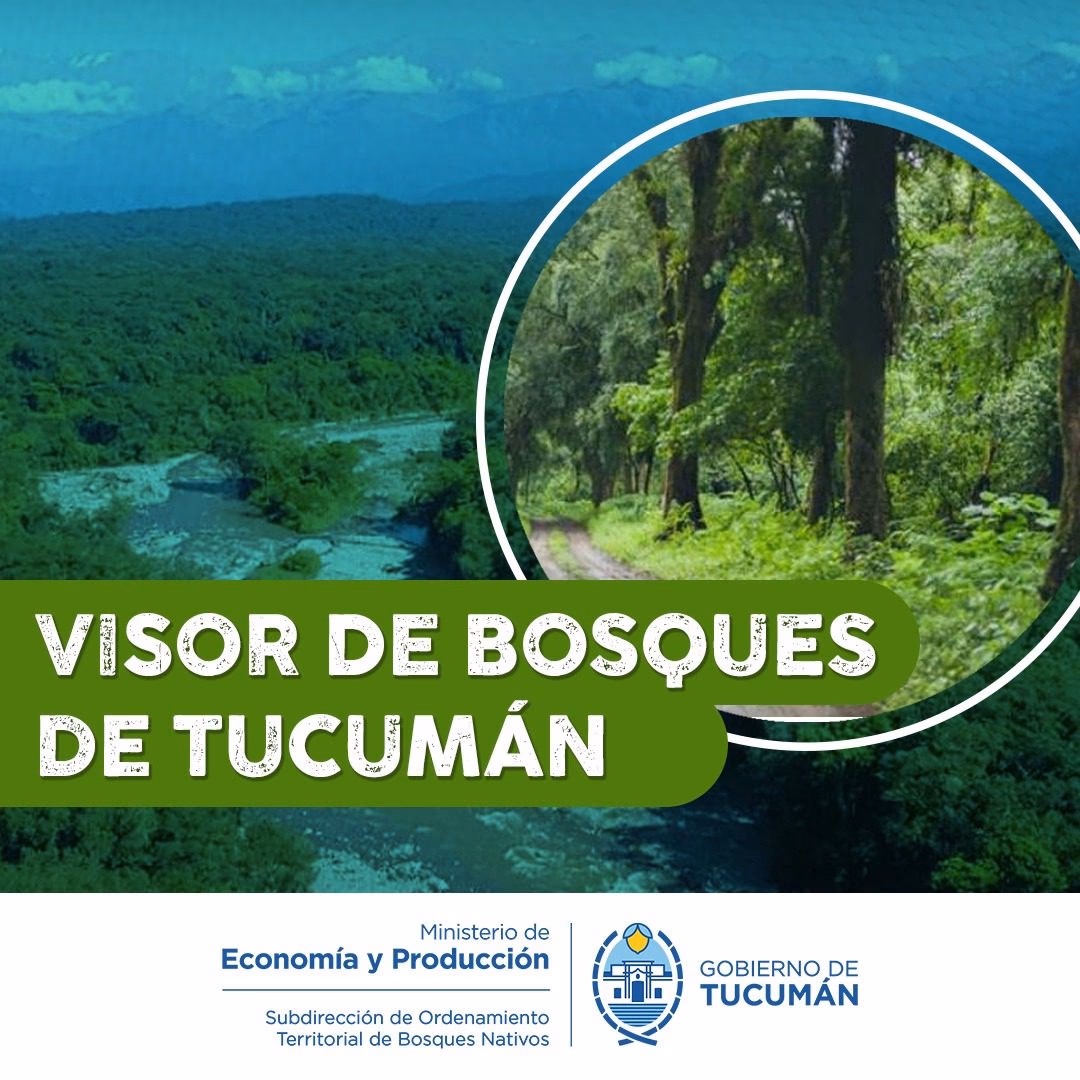 ¿Cuáles son las leyes que regulan el impacto ambiental?
