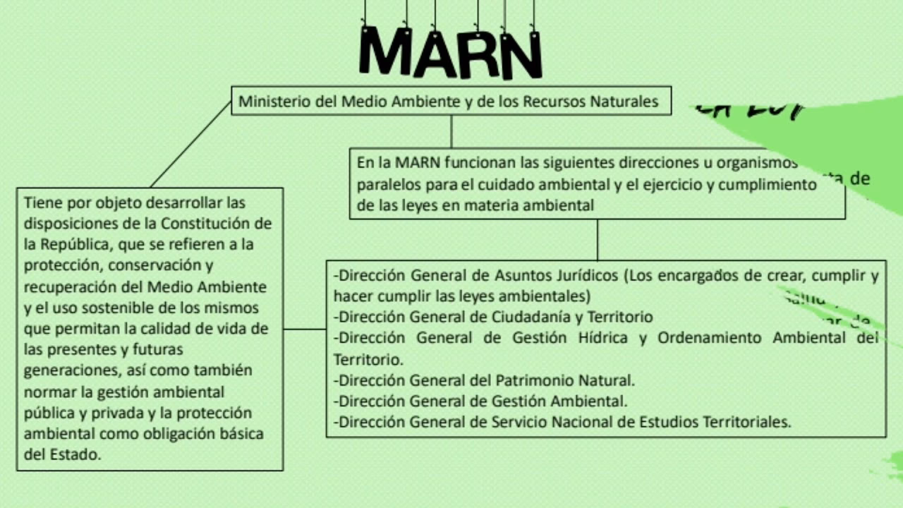 ¿Cuáles son los reglamentos de la Ley de medio ambiente?