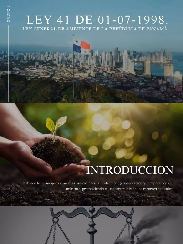 ¿Cuáles son las normas de protección y conservación del ambiente en Panamá?