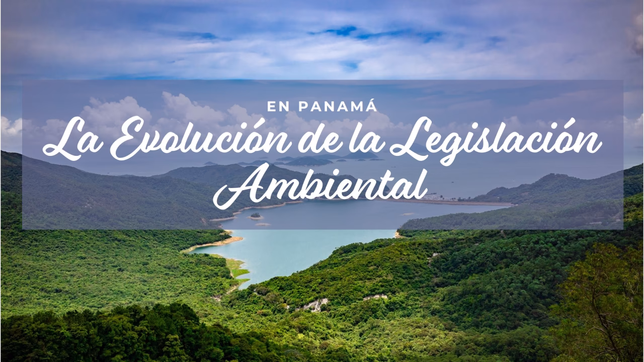 ¿Cuál es el objetivo de las leyes para el medio ambiente?