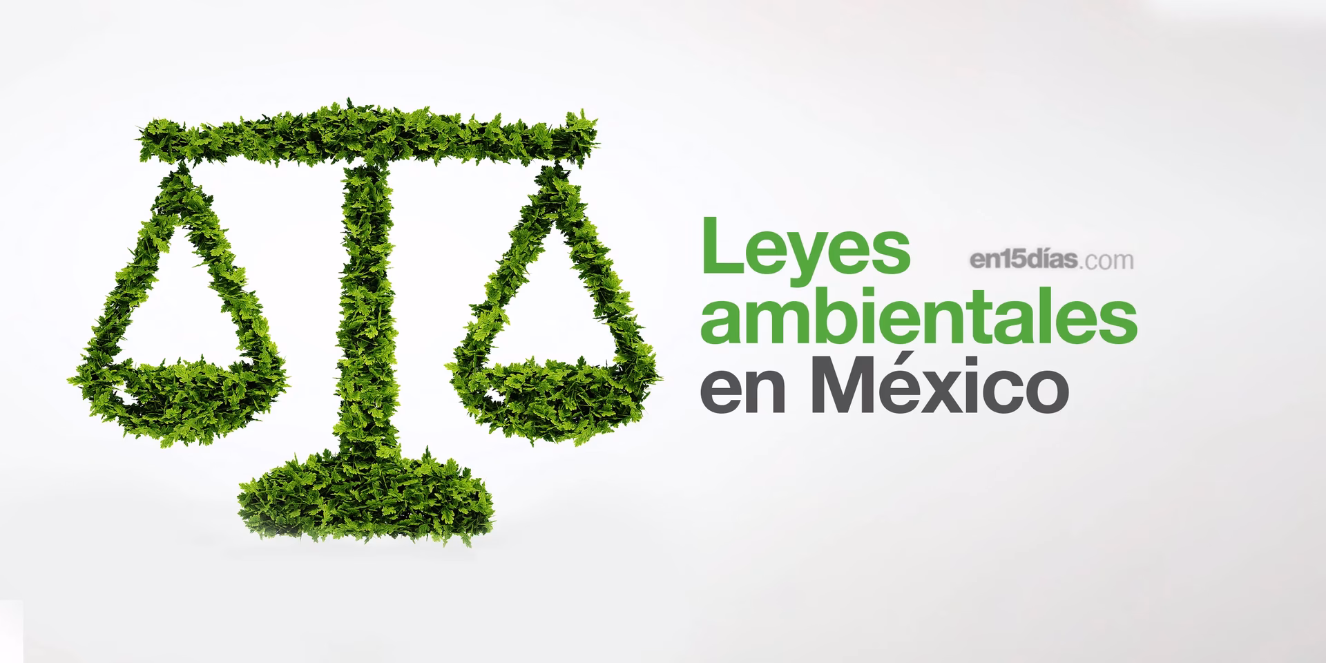 ¿Cuáles son las leyes ambientales de México?