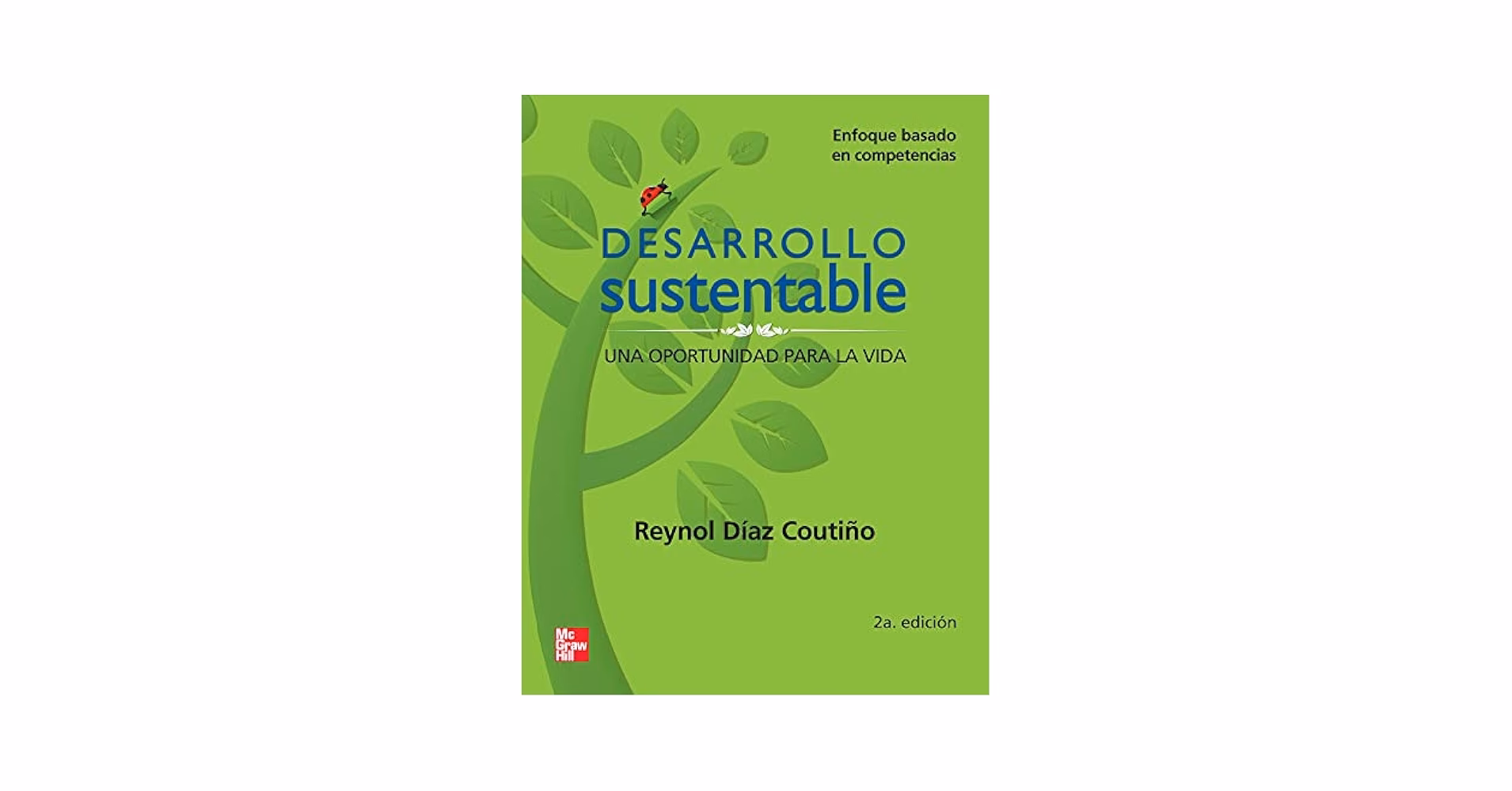 ¿Cuáles son los enfoques del desarrollo sustentable?