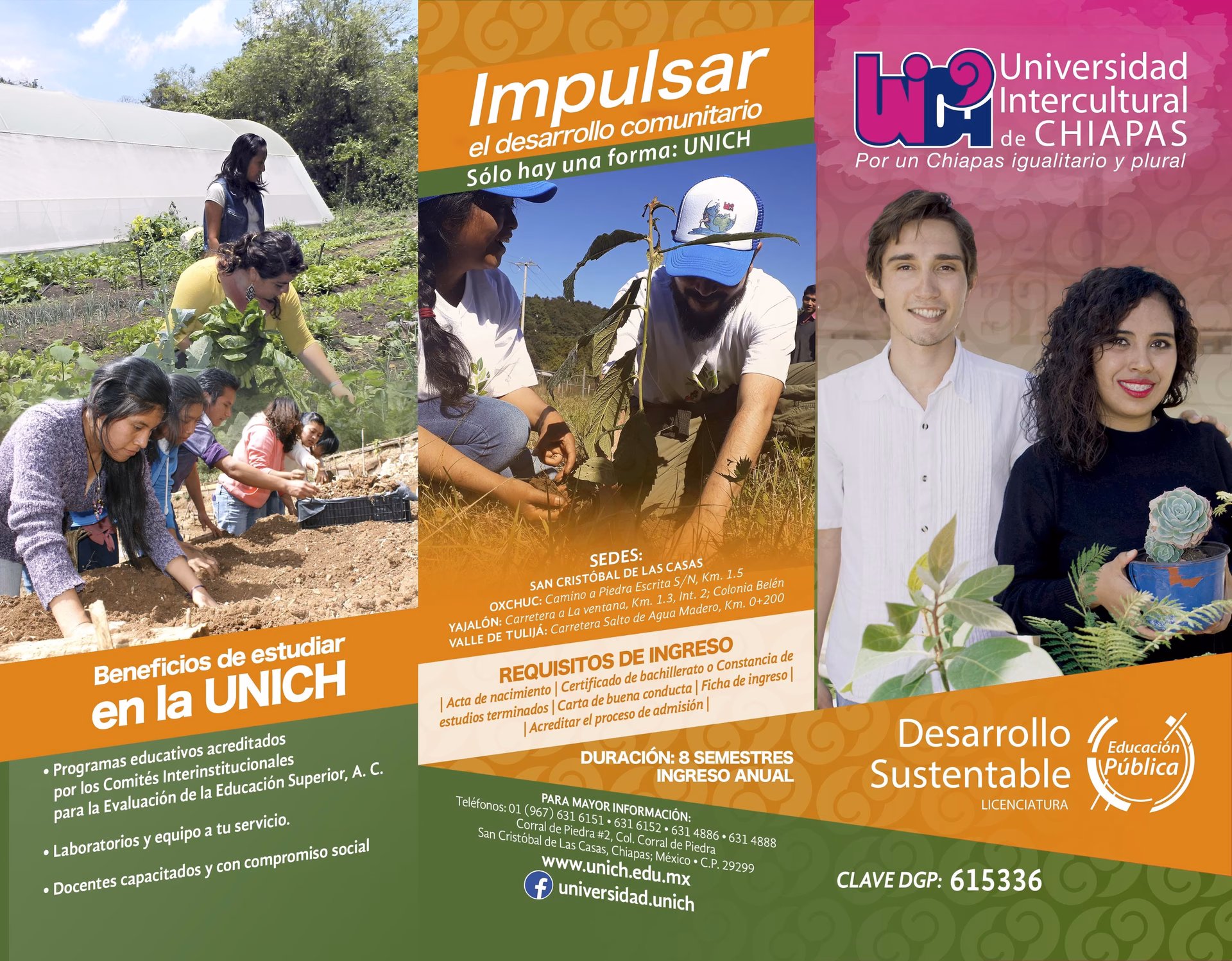 ¿Cómo lograr un desarrollo local sustentable?