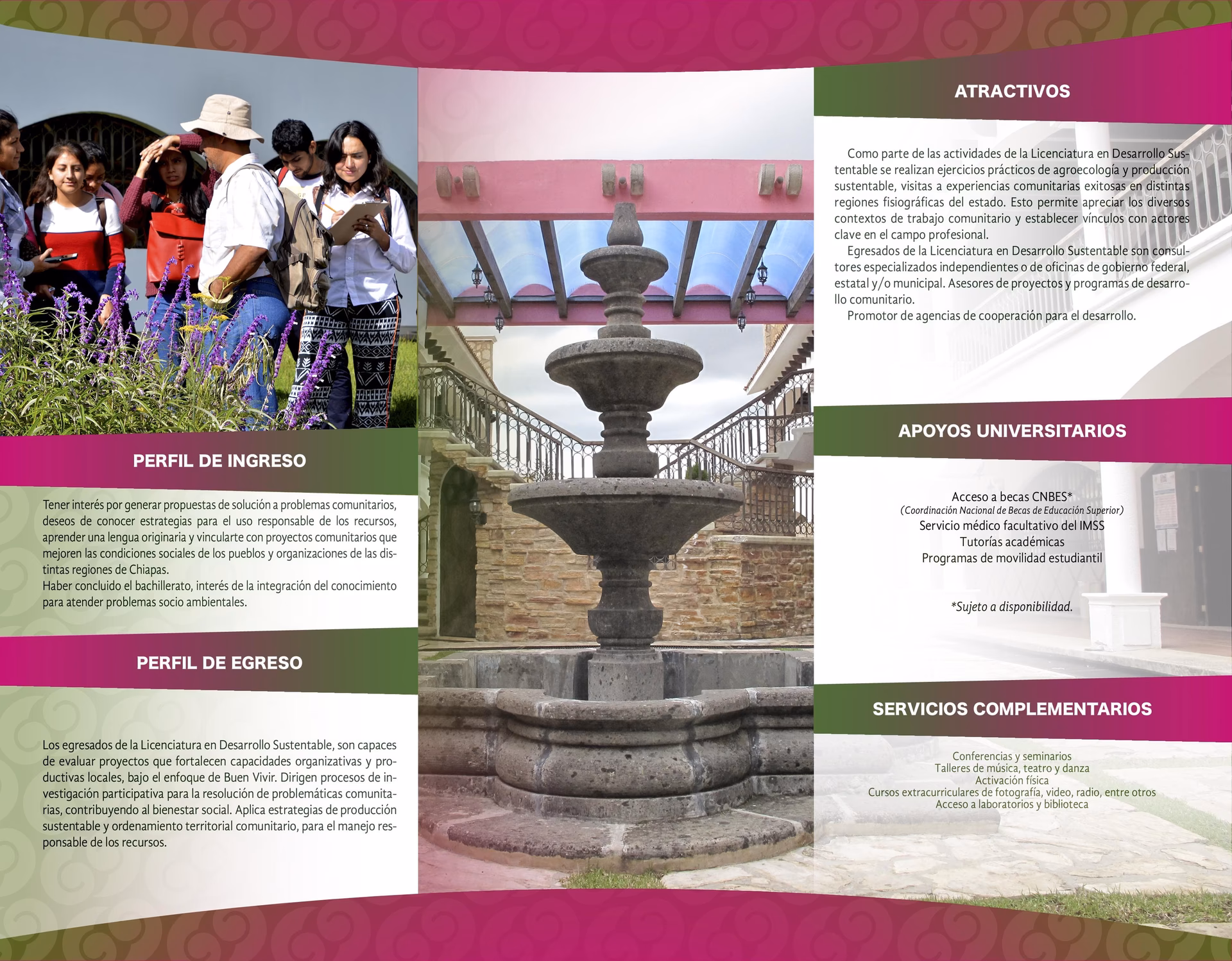 ¿Cuándo empieza la licenciatura en desarrollo inmobiliario sustentable?