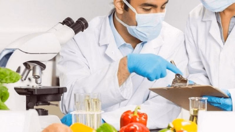 ¿Qué materias se estudian en la carrera de bromatologia?