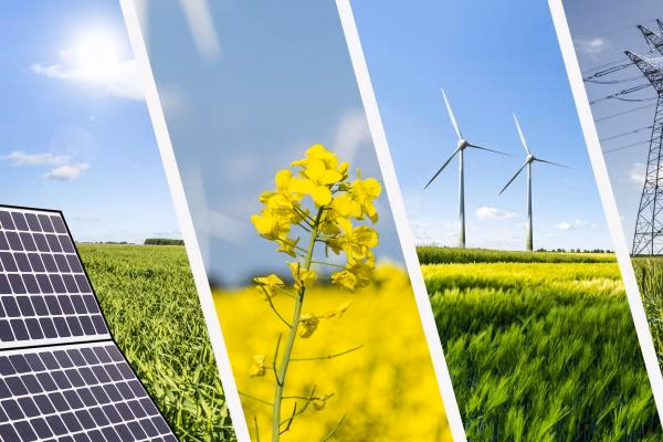 ¿Cuál es el nivel de la carrera de Gestión Ambiental?