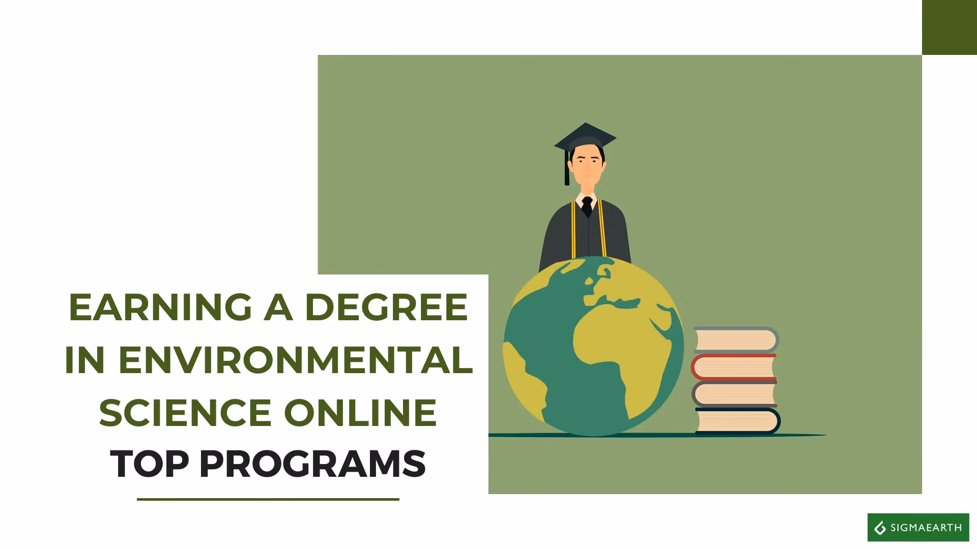 ¿Qué es la licenciatura en ecología?