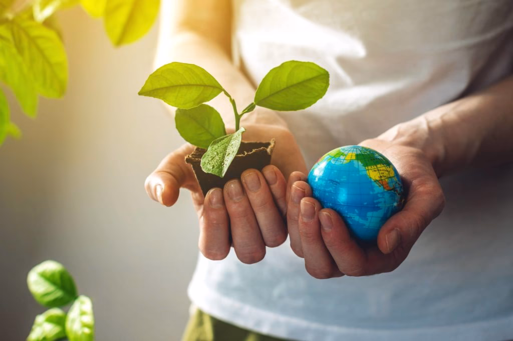 ¿Qué es la licenciatura en ecología?