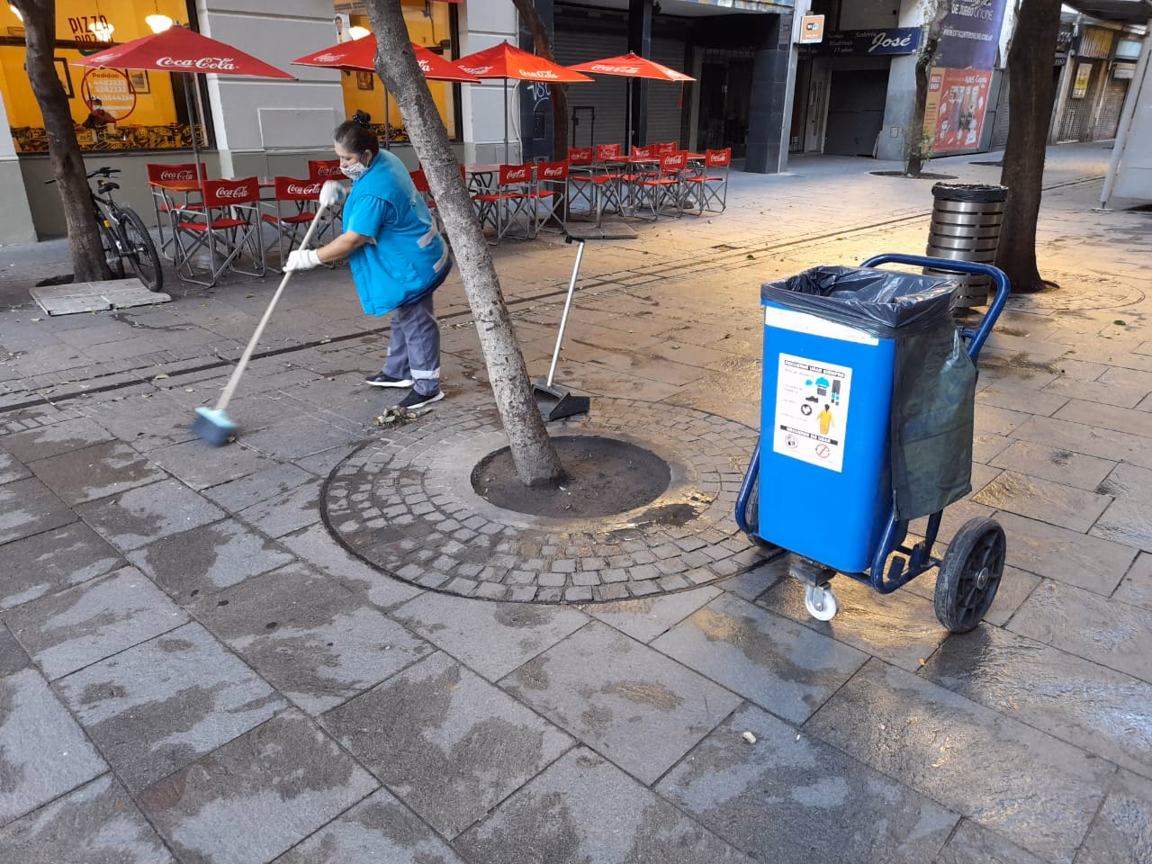 ¿Qué es el programa de separación de residuos orgánicos?