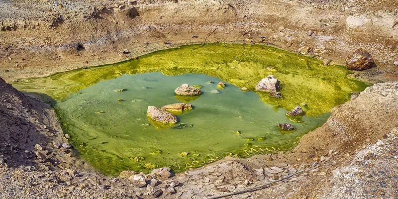 ¿Cuáles son las técnicas de tratamiento de suelos contaminados?