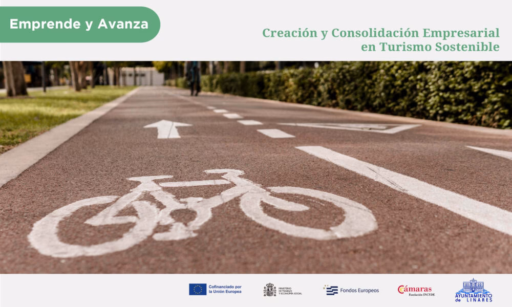 ¿Quién ha subvencionado al Ayuntamiento de Linares?