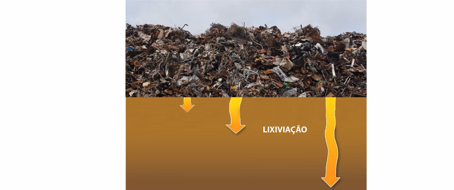 ¿Cómo se pueden reparar los ecosistemas contaminados por lixiviados?