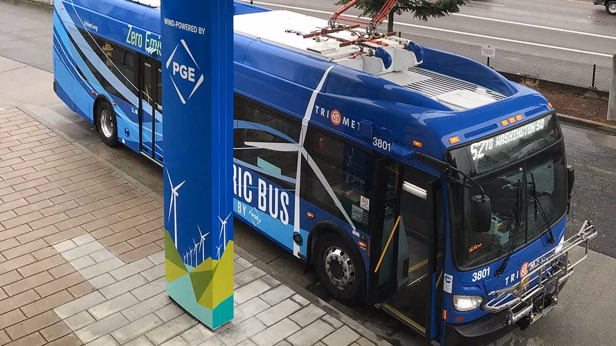 ¿Qué son los colectivos eléctricos?