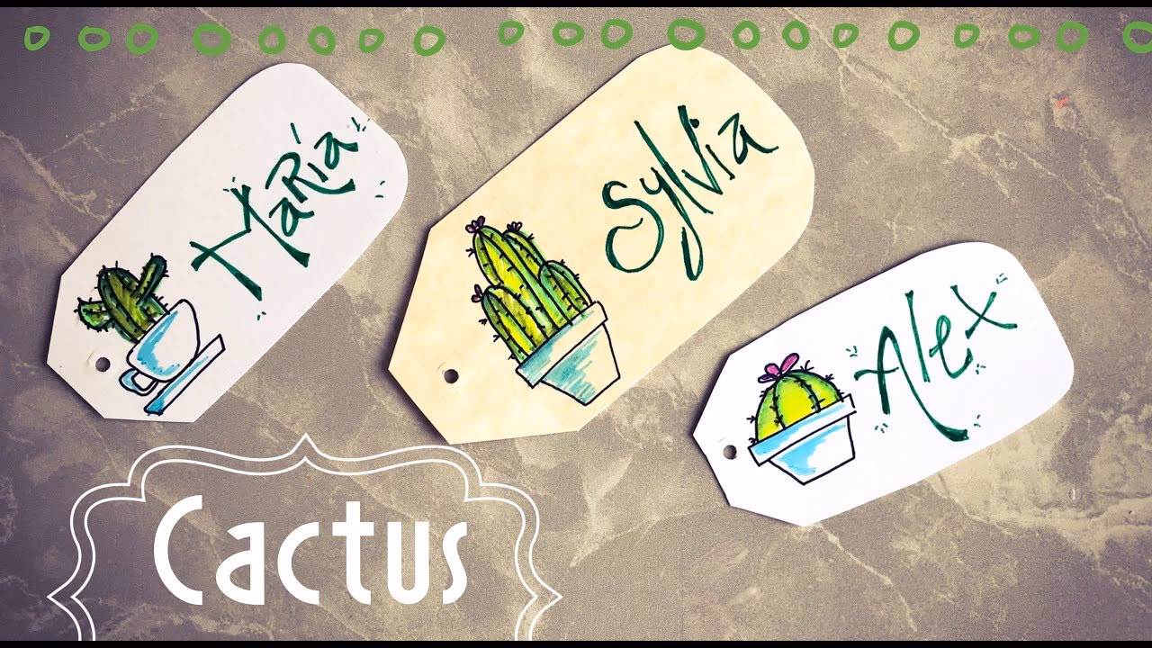 ¿Qué contiene la colección Cacti?