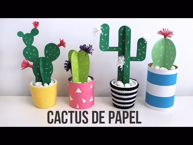 ¿Qué contiene la colección Cacti?