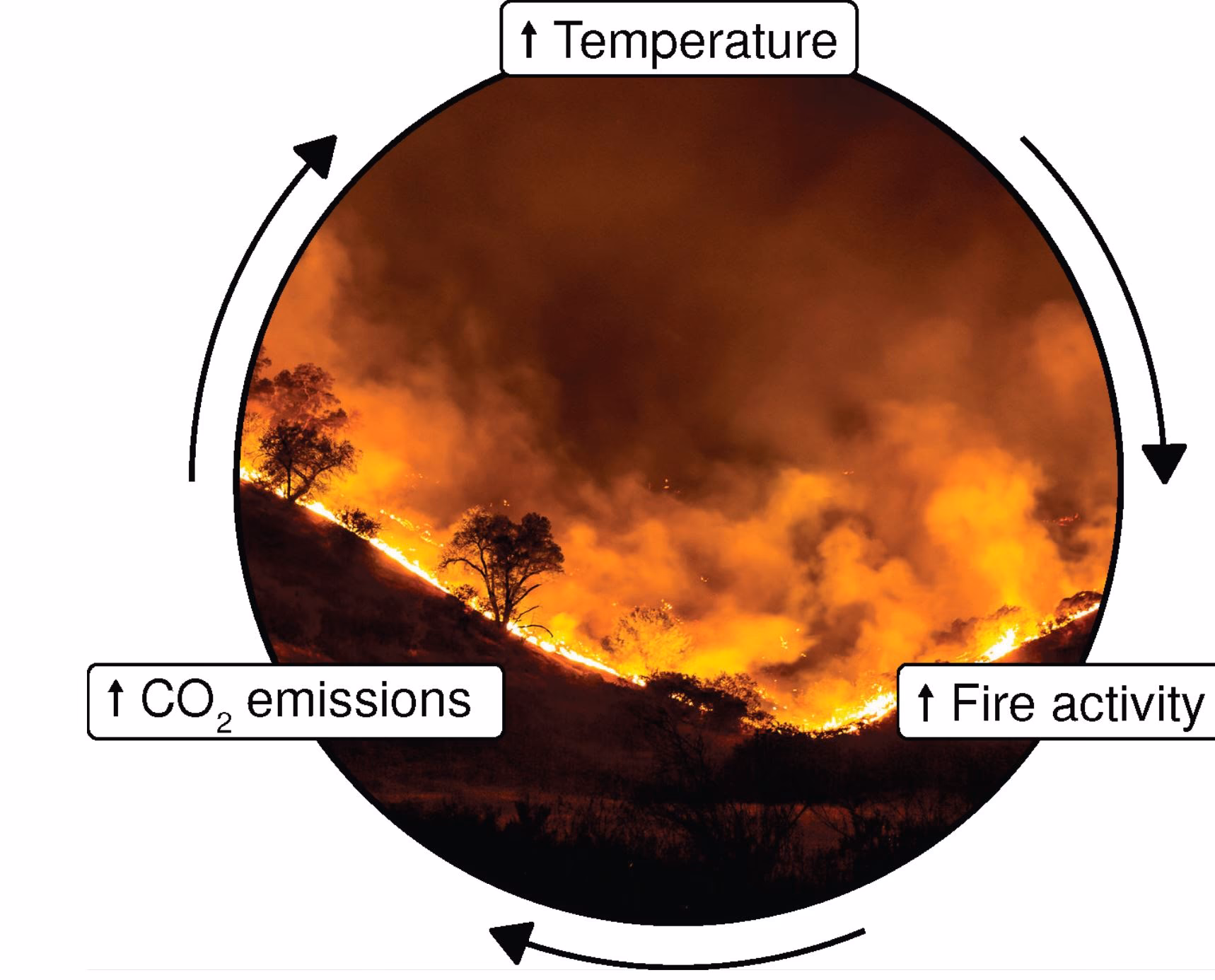 ¿Cuáles son los desafíos del cambio climático?