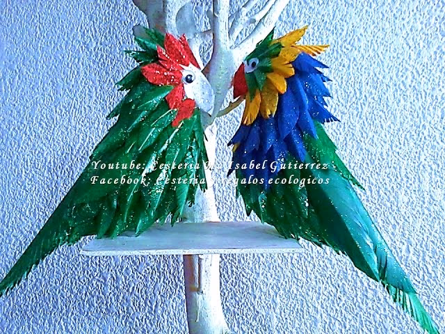 ¿Qué debes revisar antes de comprar un loro?