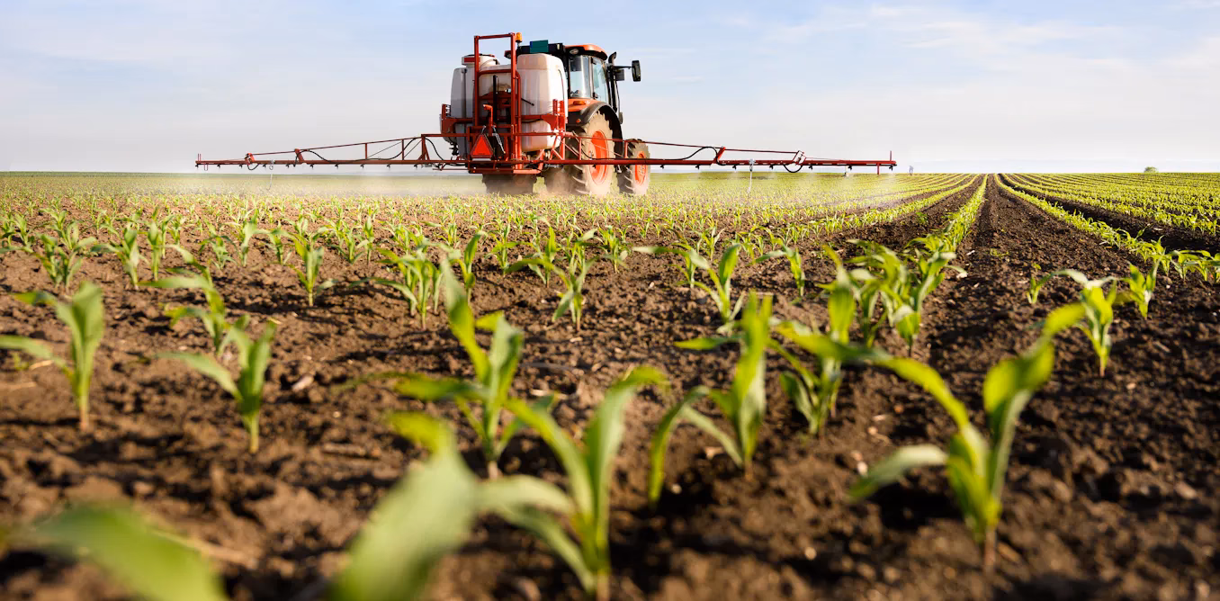 ¿Cuáles son las consecuencias de los agroquímicos?