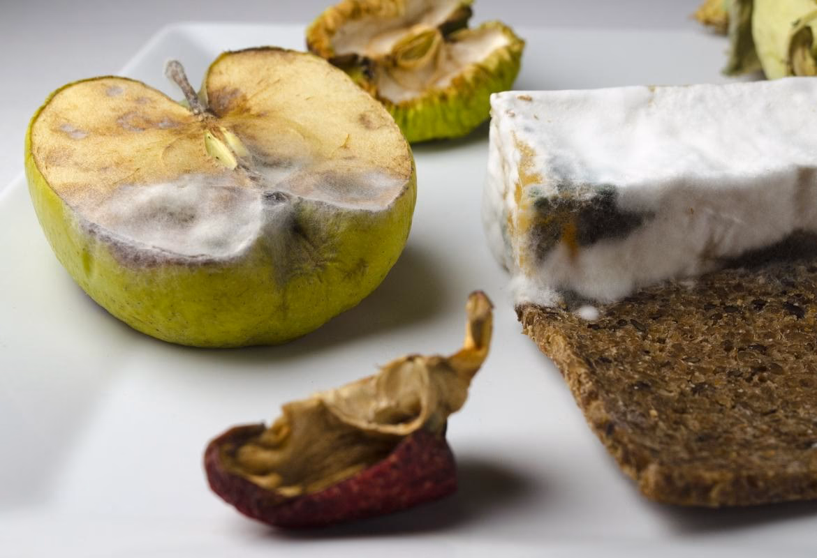 ¿Cómo ayudan los alimentos orgánicos a reducir la contaminación de agroquímicos?
