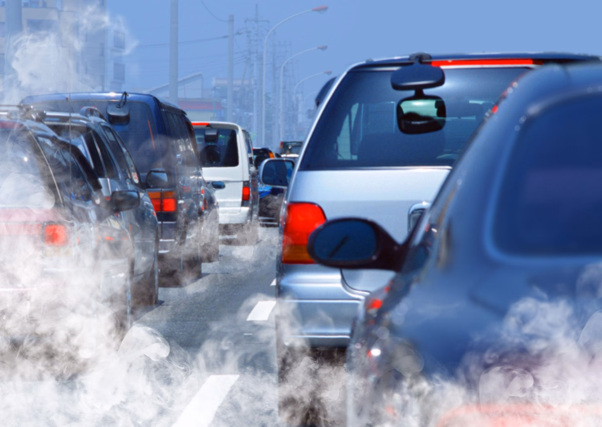 ¿Cómo reducir los peligrosos efectos del cambio climático?