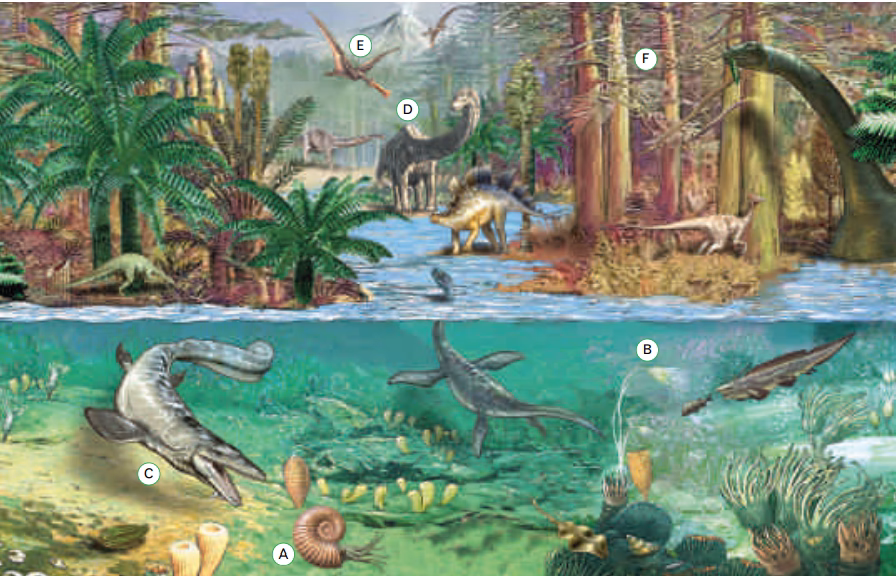 ¿Cuál es el clima del Mesozoico?