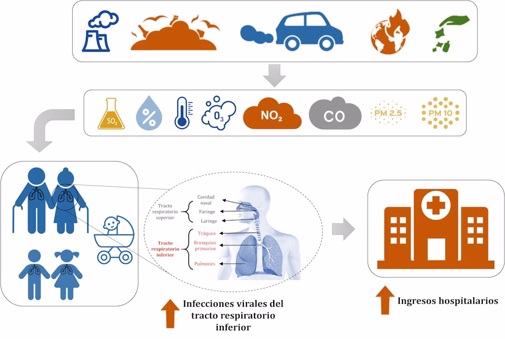 ¿Cuáles son los factores ambientales que influyen en la bronquitis crónica?