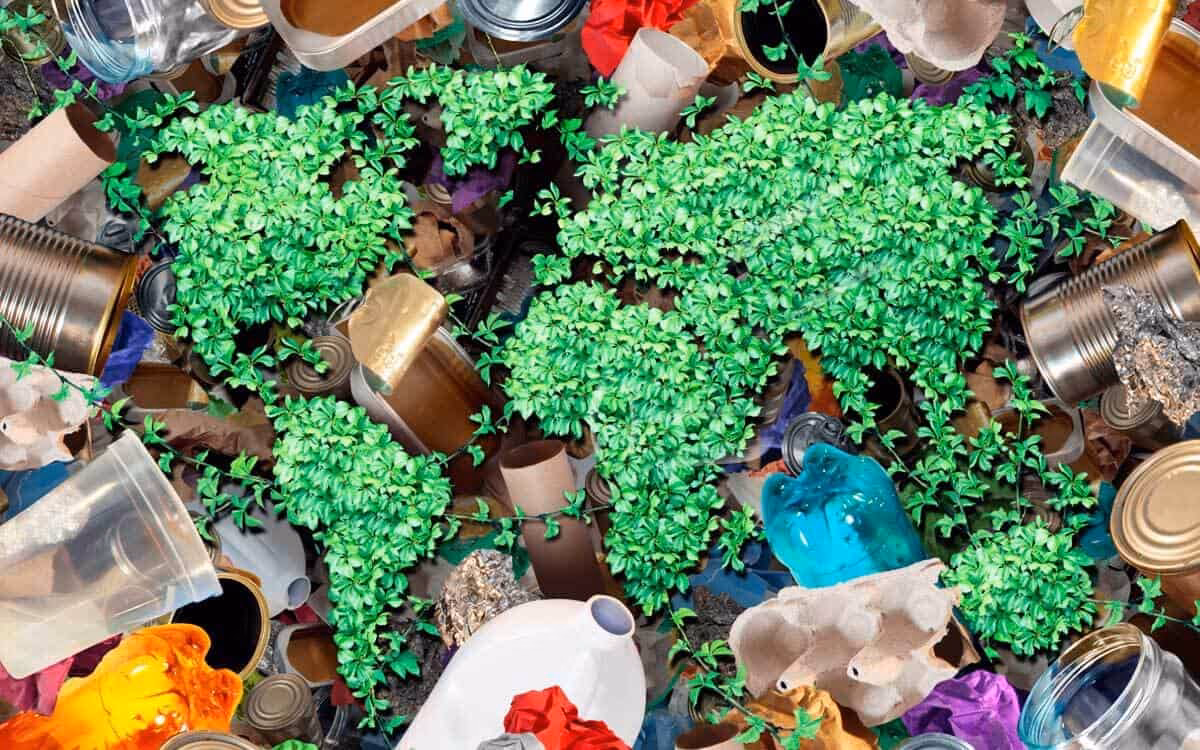 ¿Cómo afectan los productos no biodegradables al medio ambiente?