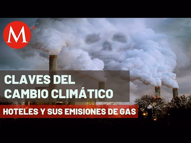 ¿Qué están haciendo los hoteles para reducir su impacto medioambiental?