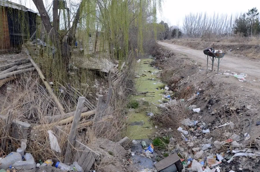 ¿Cómo contactar a la Municipalidad de Cipoletti?